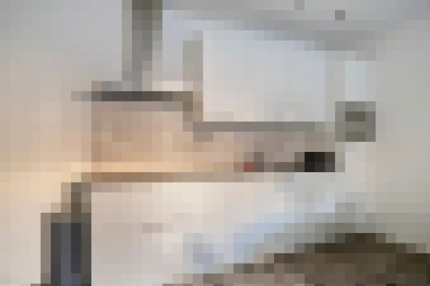Margrietstraat 15 Uden thumbnail 10