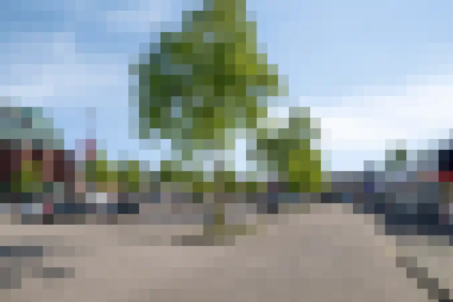Margrietstraat 15 Uden thumbnail 21