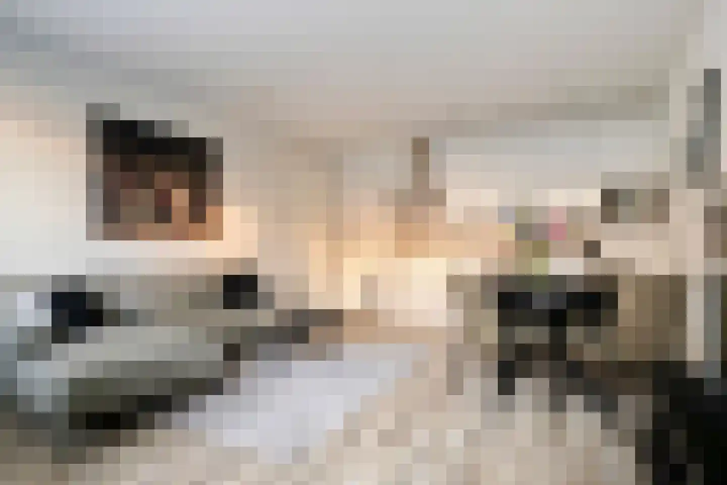 Margrietstraat 15 Uden thumbnail 8