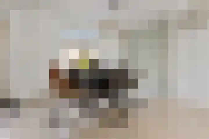 Margrietstraat 15 Wijchen thumbnail 5