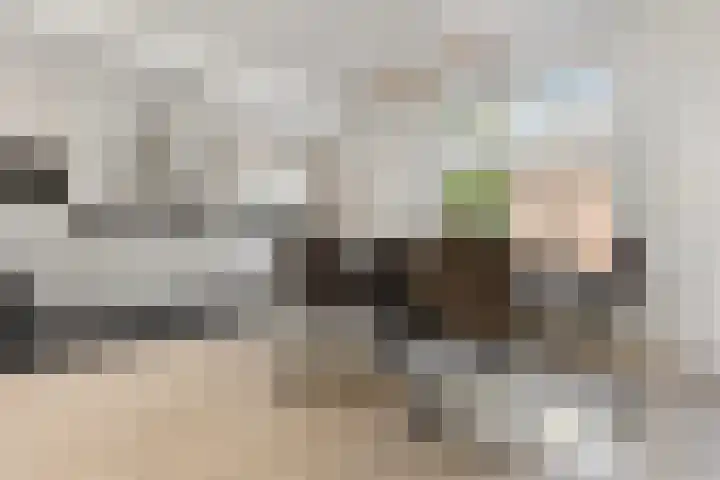 Margrietstraat 15 Wijchen thumbnail 6