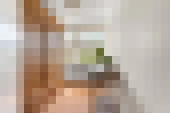 Margrietstraat 16 Rheden thumbnail 25