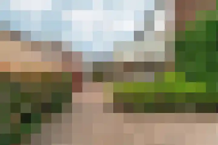 Margrietstraat 16 Rheden thumbnail 37