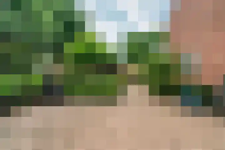 Margrietstraat 16 Rheden thumbnail 38