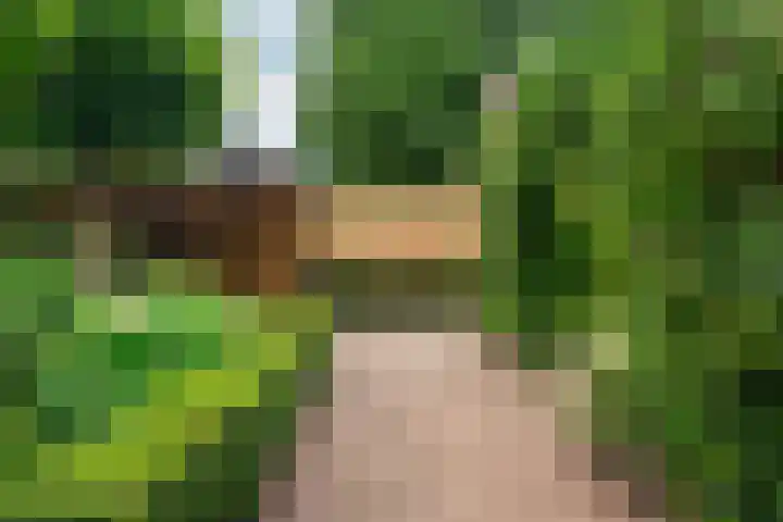 Margrietstraat 16 Rheden thumbnail 39