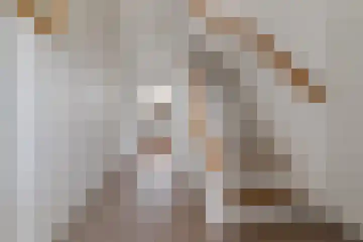 Margrietstraat 16 Rheden thumbnail 9