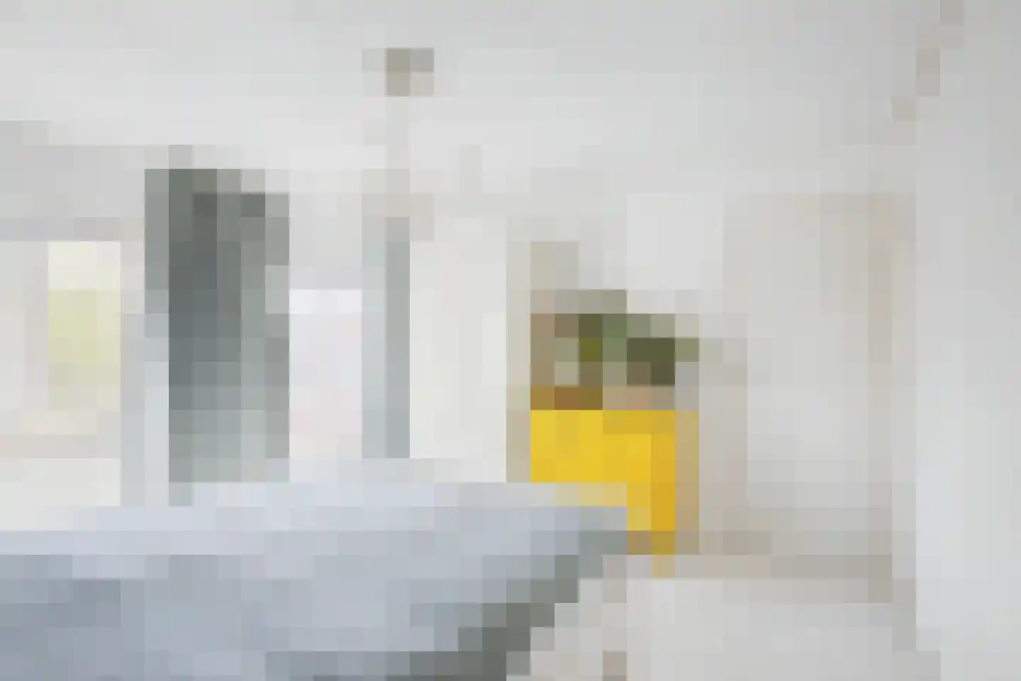 Margrietstraat 16 Terneuzen thumbnail 16