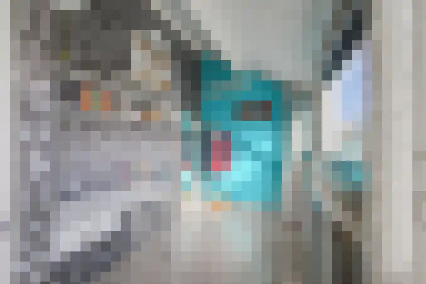 Margrietstraat 16 Terneuzen thumbnail 22