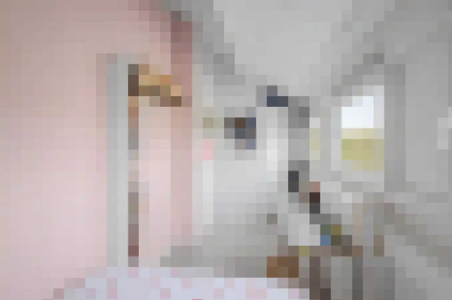 Margrietstraat 16 Terneuzen thumbnail 24