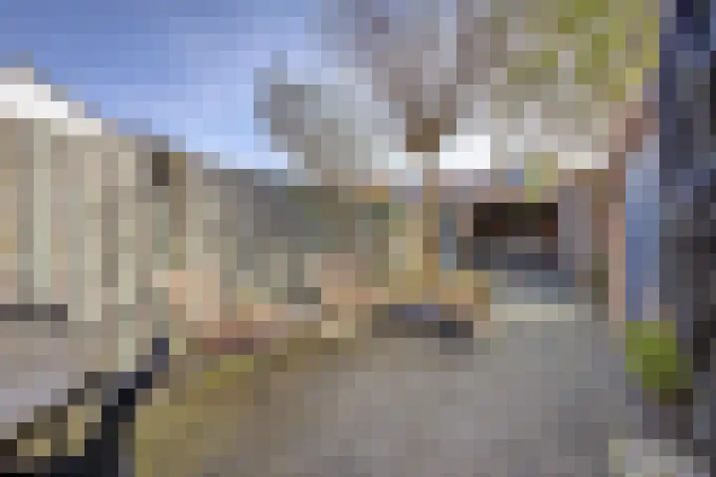Margrietstraat 16 Terneuzen thumbnail 26