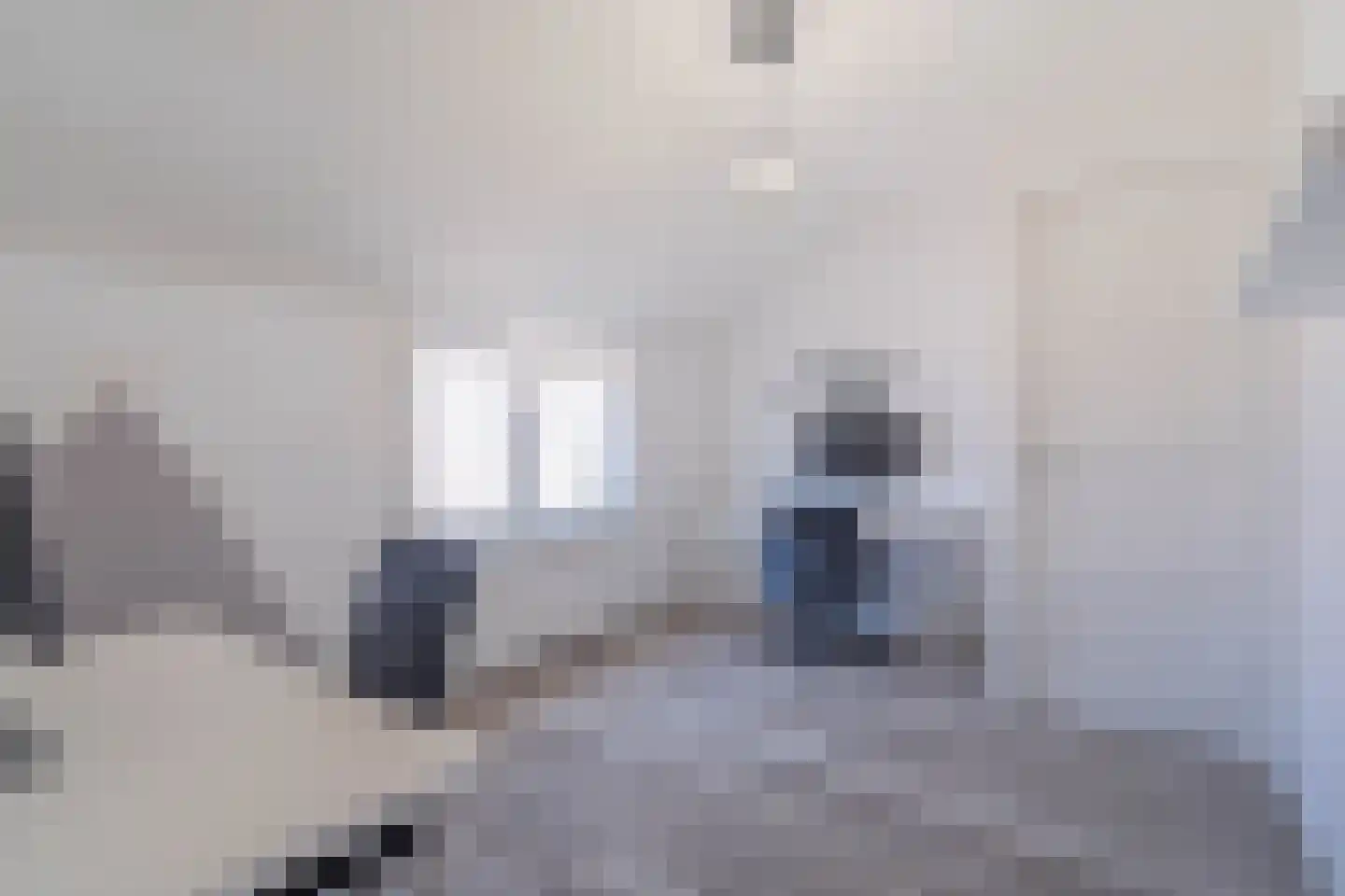 Margrietstraat 16 Yerseke thumbnail 16