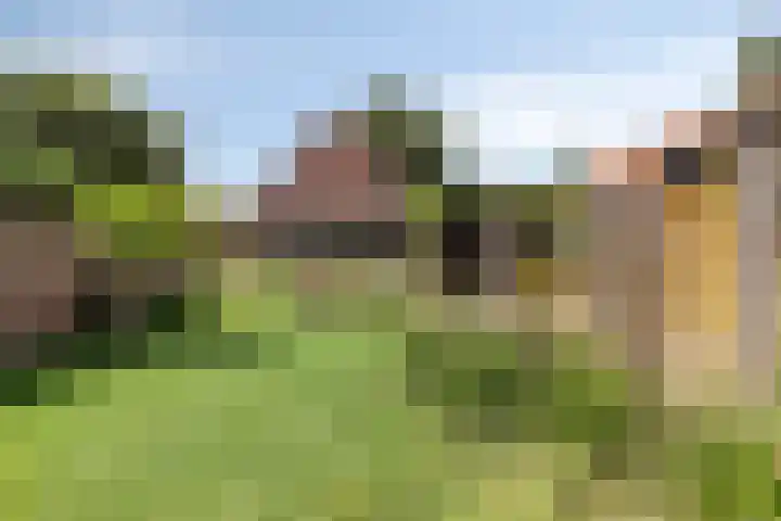 Margrietstraat 17 Nuenen thumbnail 27
