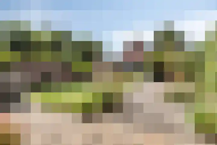 Margrietstraat 17 Nuenen thumbnail 29