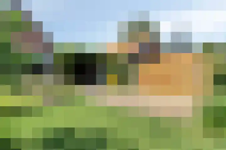 Margrietstraat 17 Nuenen thumbnail 31