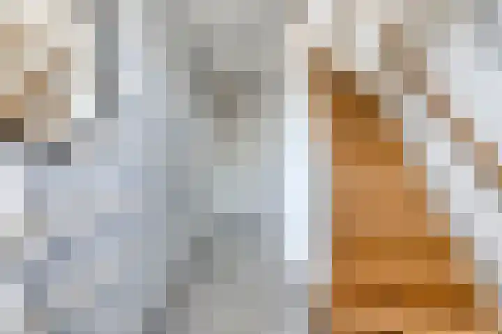 Margrietstraat 17 Nuenen thumbnail 5