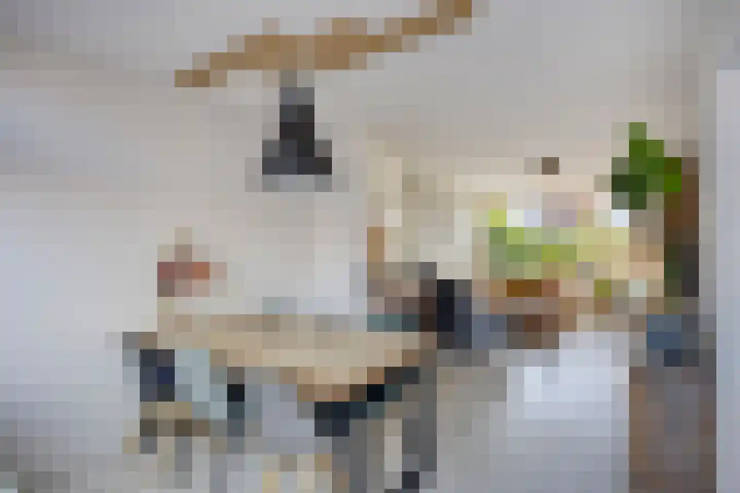 Margrietstraat 17 Rhoon thumbnail 9