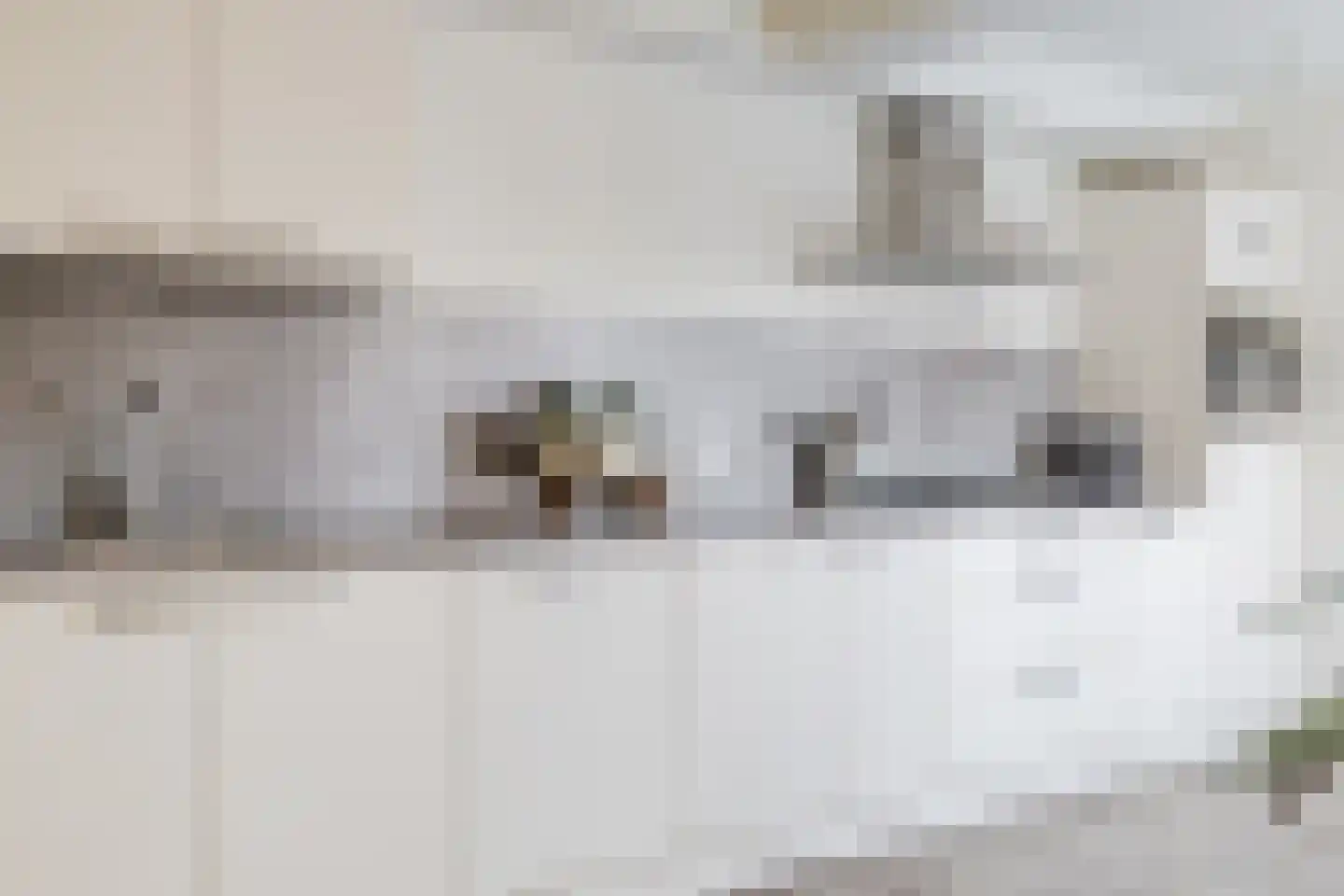 Margrietstraat 18 Beneden-Leeuwen thumbnail 16