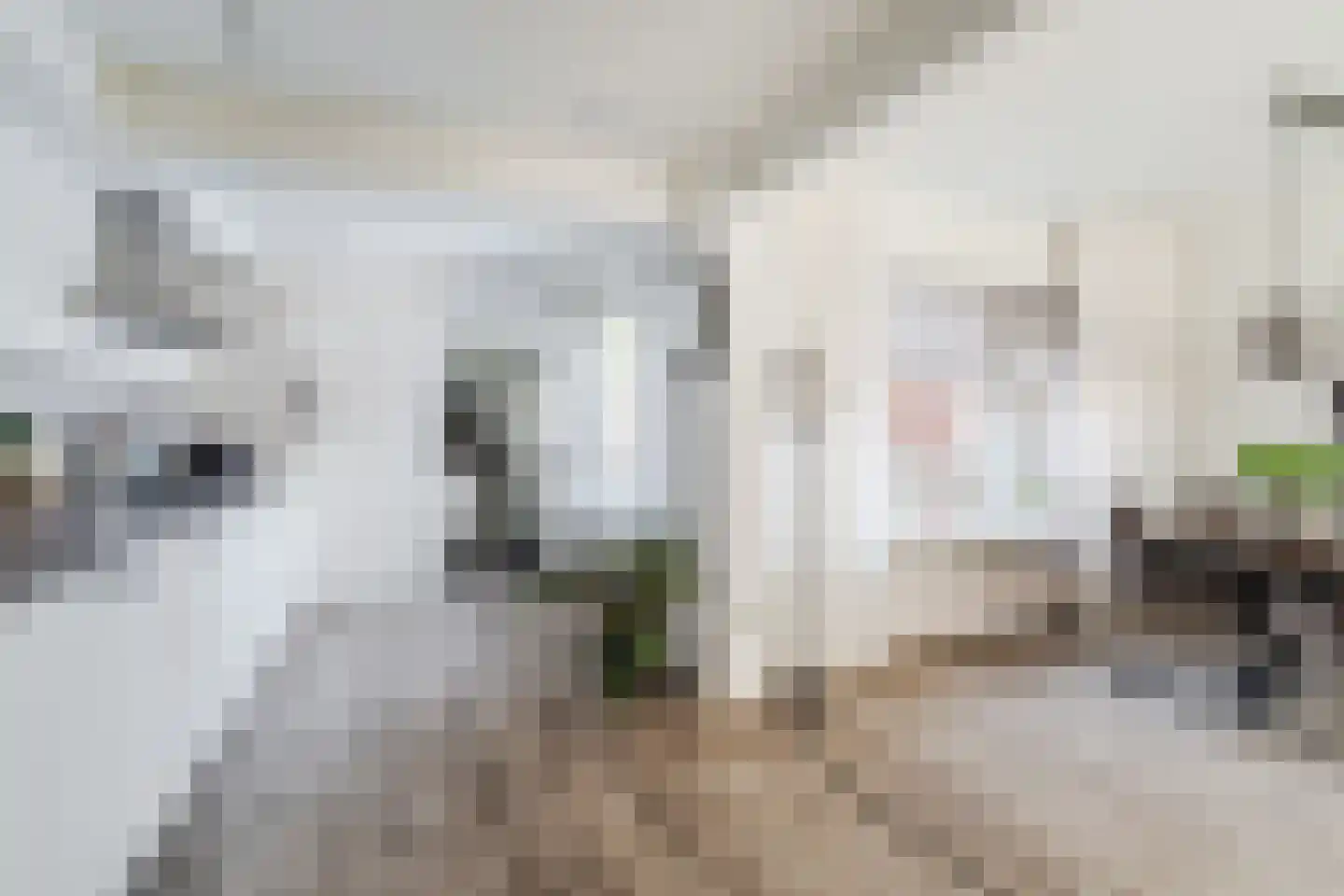 Margrietstraat 18 Beneden-Leeuwen thumbnail 18