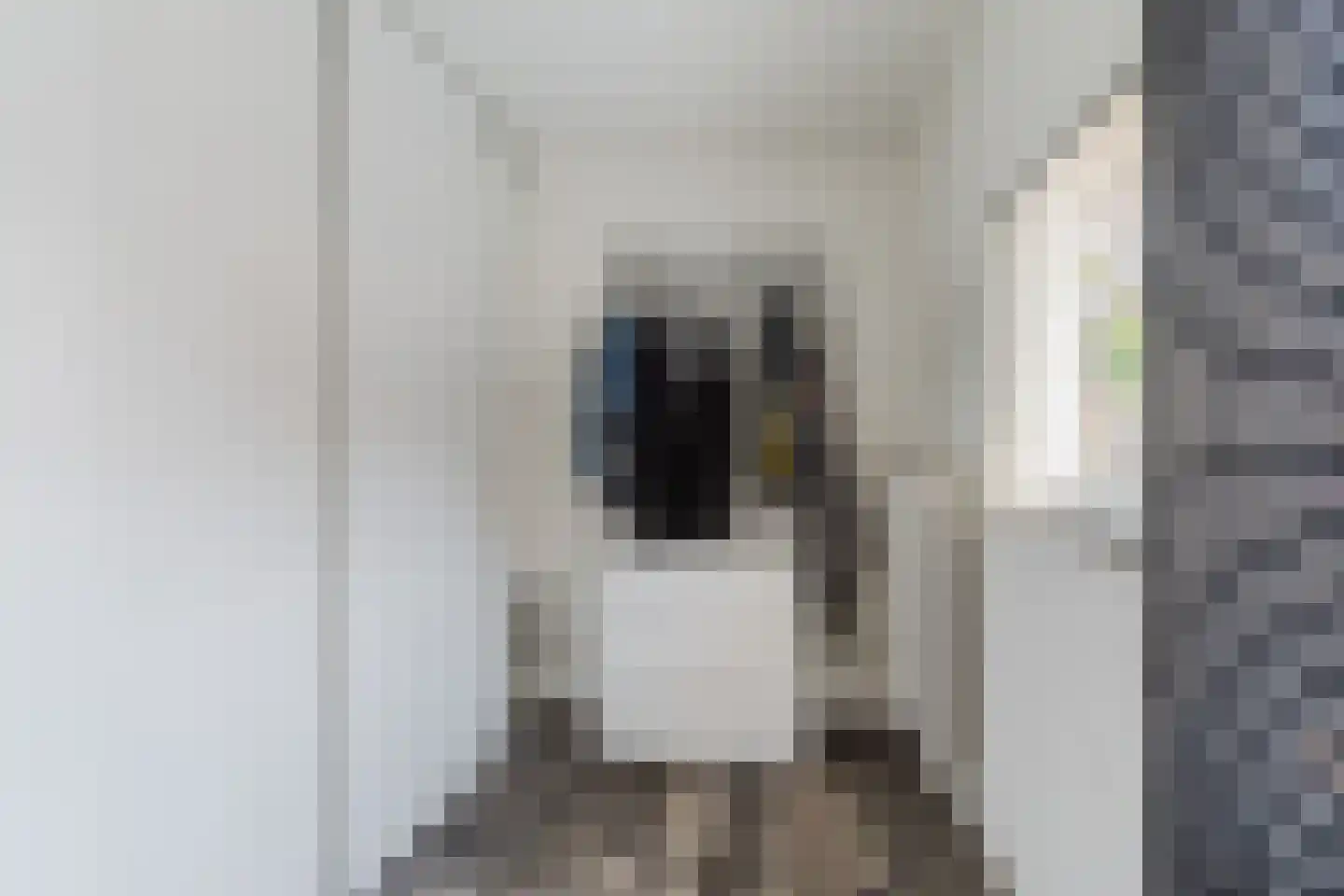 Margrietstraat 18 Beneden-Leeuwen thumbnail 19
