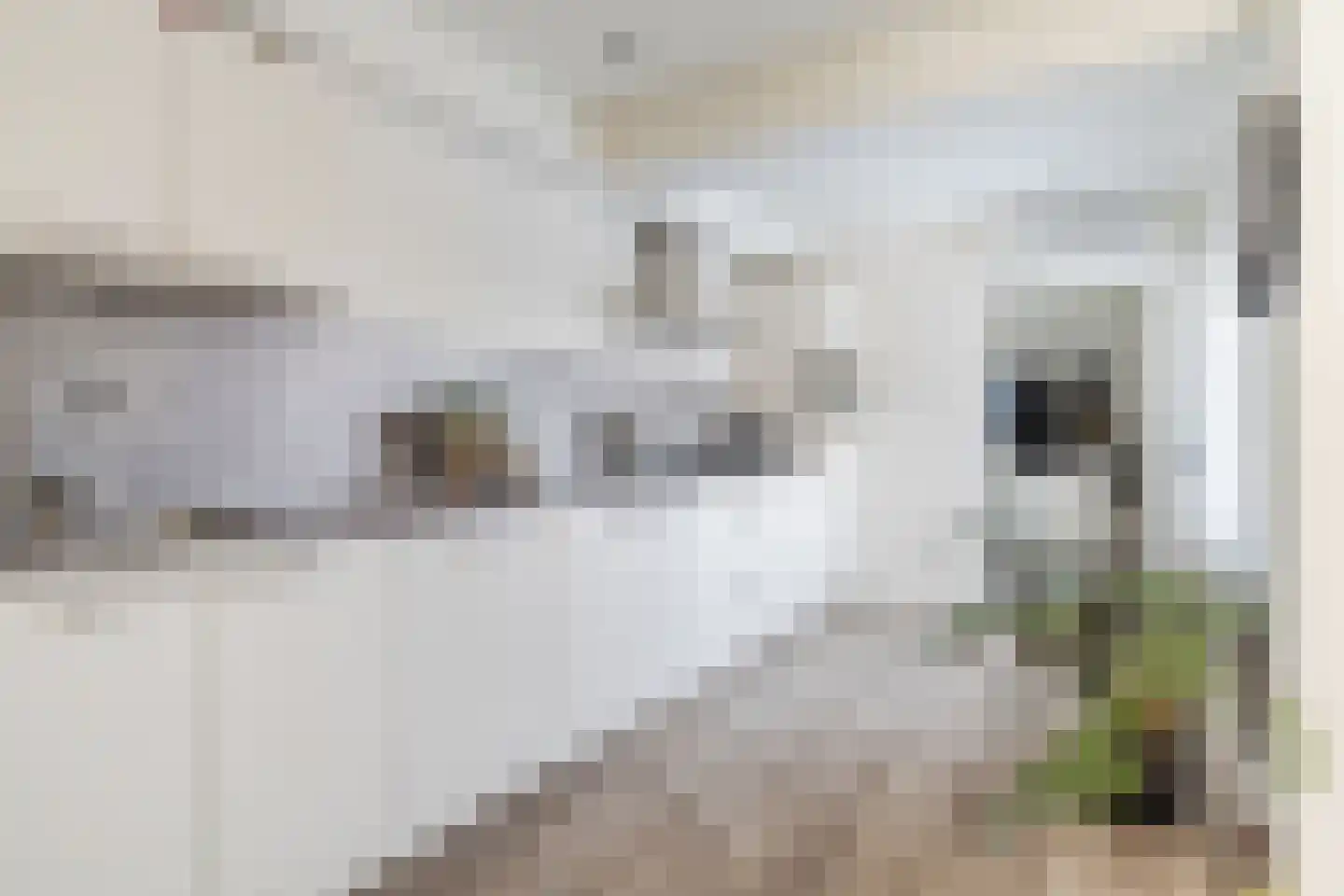 Margrietstraat 18 Beneden-Leeuwen thumbnail 20