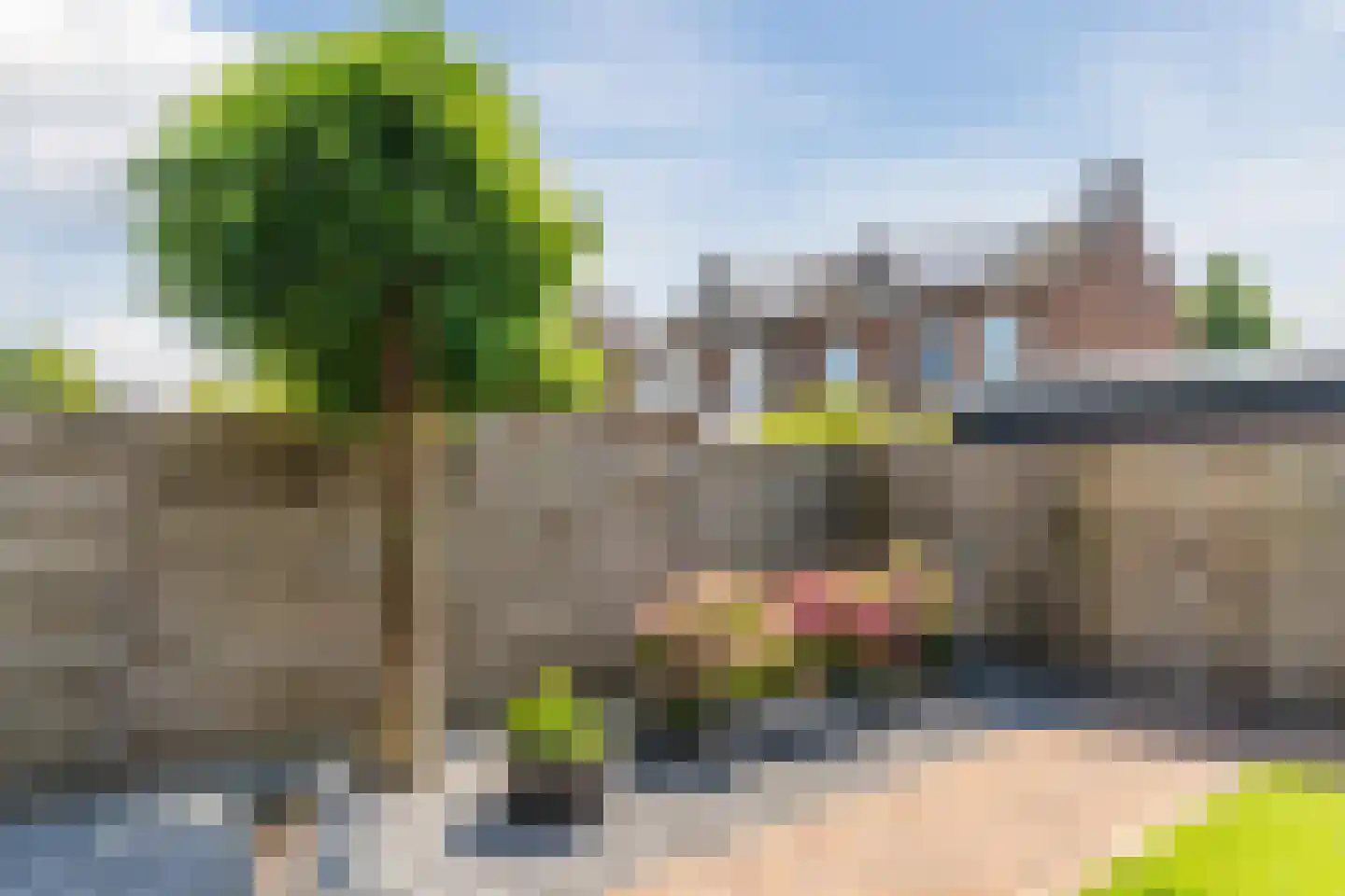 Margrietstraat 18 Beneden-Leeuwen thumbnail 44