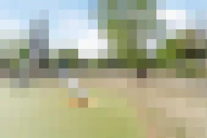 Margrietstraat 18 Goirle thumbnail 28