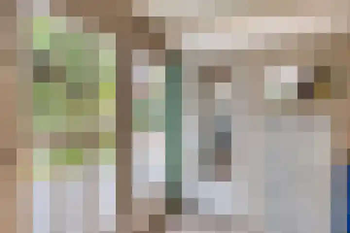 Margrietstraat 18 Rhoon thumbnail 10