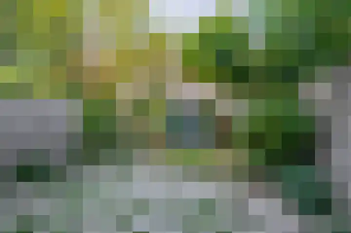 Margrietstraat 18 Rhoon thumbnail 21