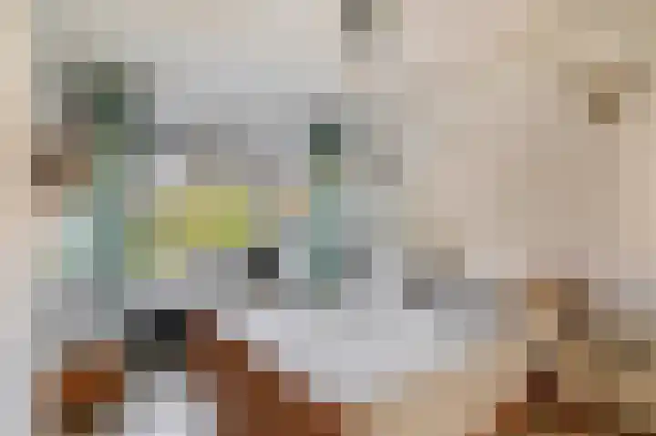 Margrietstraat 18 Rhoon thumbnail 4