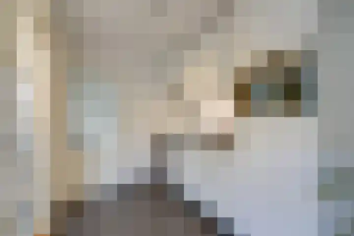 Margrietstraat 19 Duiven thumbnail 21