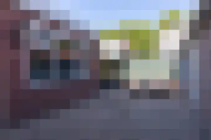 Margrietstraat 19 Duiven thumbnail 31