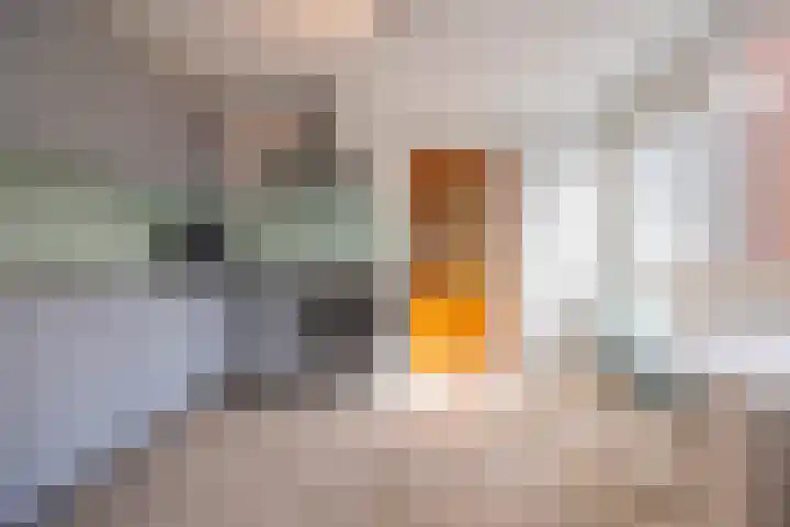 Margrietstraat 19 St. Willebrord thumbnail 16