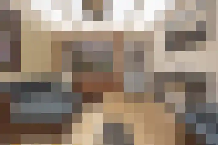 Margrietstraat 19 St. Willebrord thumbnail 37