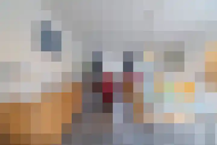 Margrietstraat 2 B Rijen thumbnail 15
