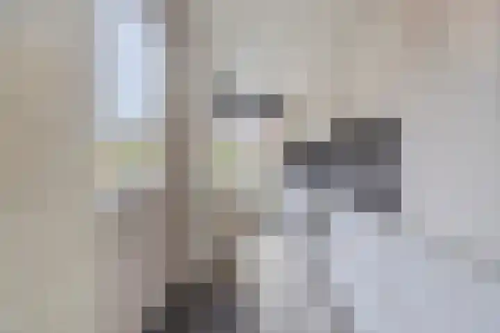 Margrietstraat 2 B Rijen thumbnail 17