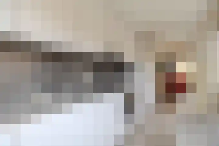 Margrietstraat 2 B Rijen thumbnail 18