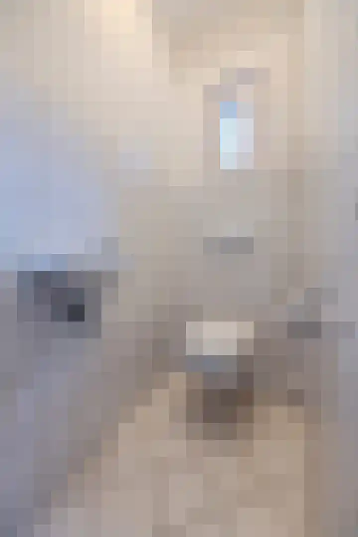 Margrietstraat 2 B Rijen thumbnail 19