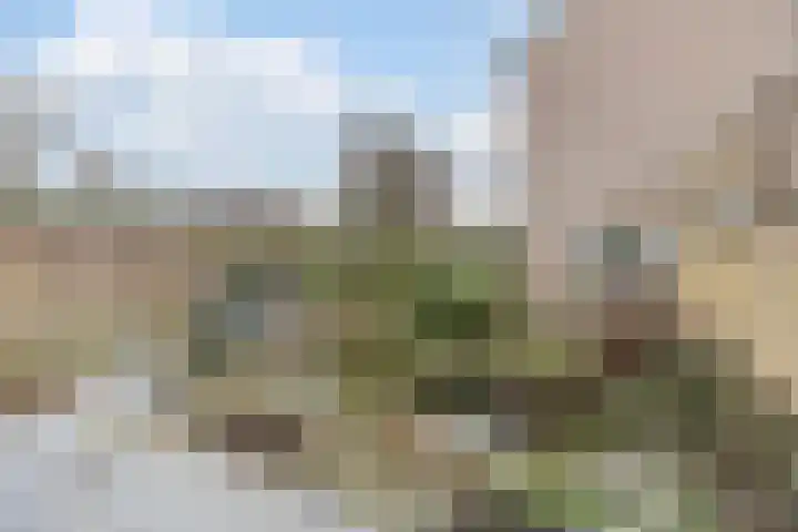 Margrietstraat 2 B Rijen thumbnail 23