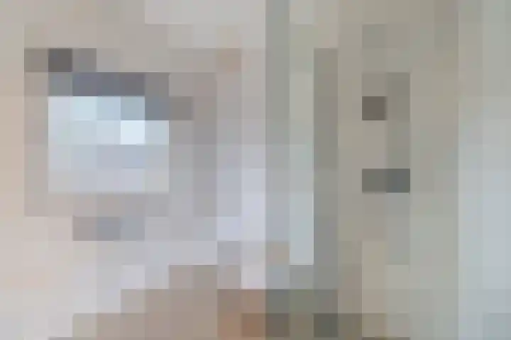 Margrietstraat 2 B Rijen thumbnail 34