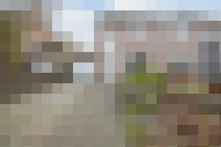 Margrietstraat 2 B Rijen thumbnail 6