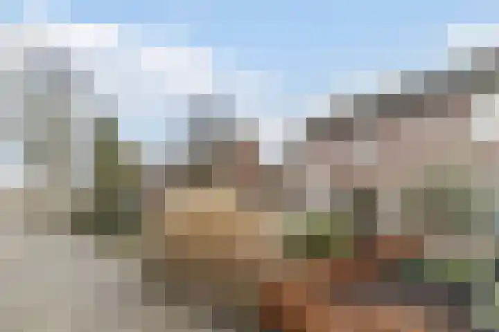 Margrietstraat 2 B Rijen thumbnail 8