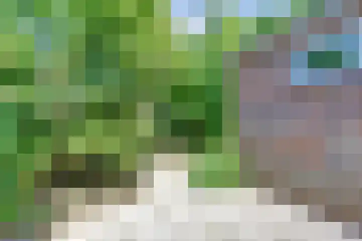 Margrietstraat 2 Leuth thumbnail 24