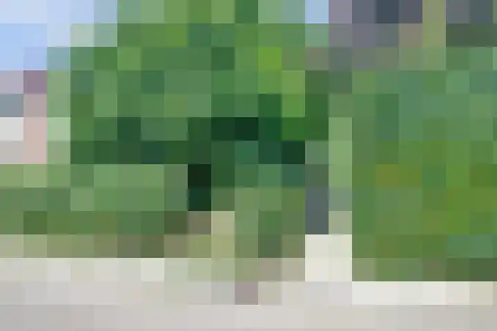 Margrietstraat 2 Leuth thumbnail 31
