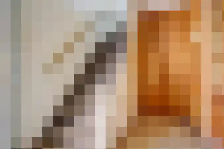 Margrietstraat 2 Leuth thumbnail 4