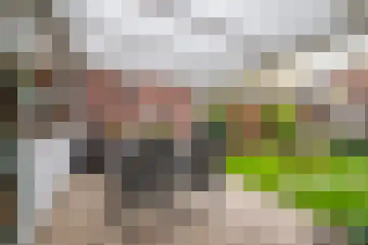 Margrietstraat 20 Lobith thumbnail 14