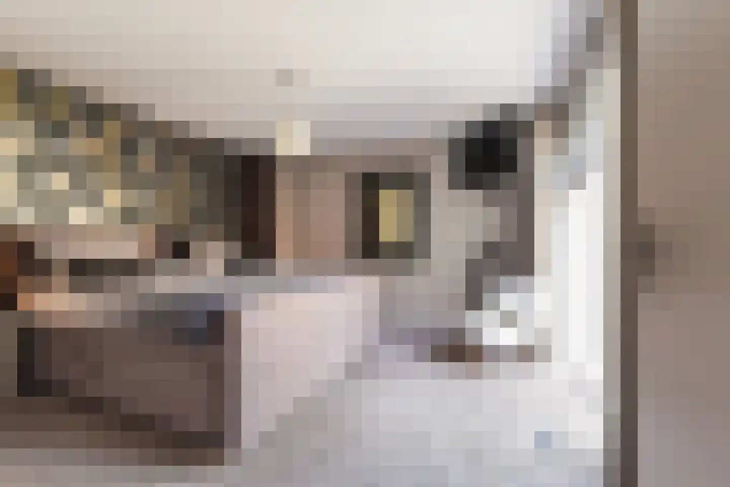 Margrietstraat 22 Waalwijk thumbnail 22