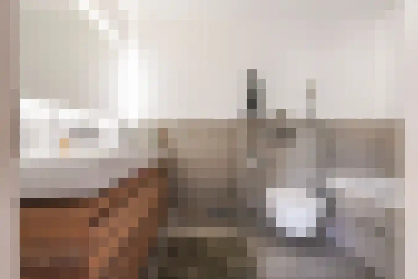 Margrietstraat 22 Waalwijk thumbnail 25