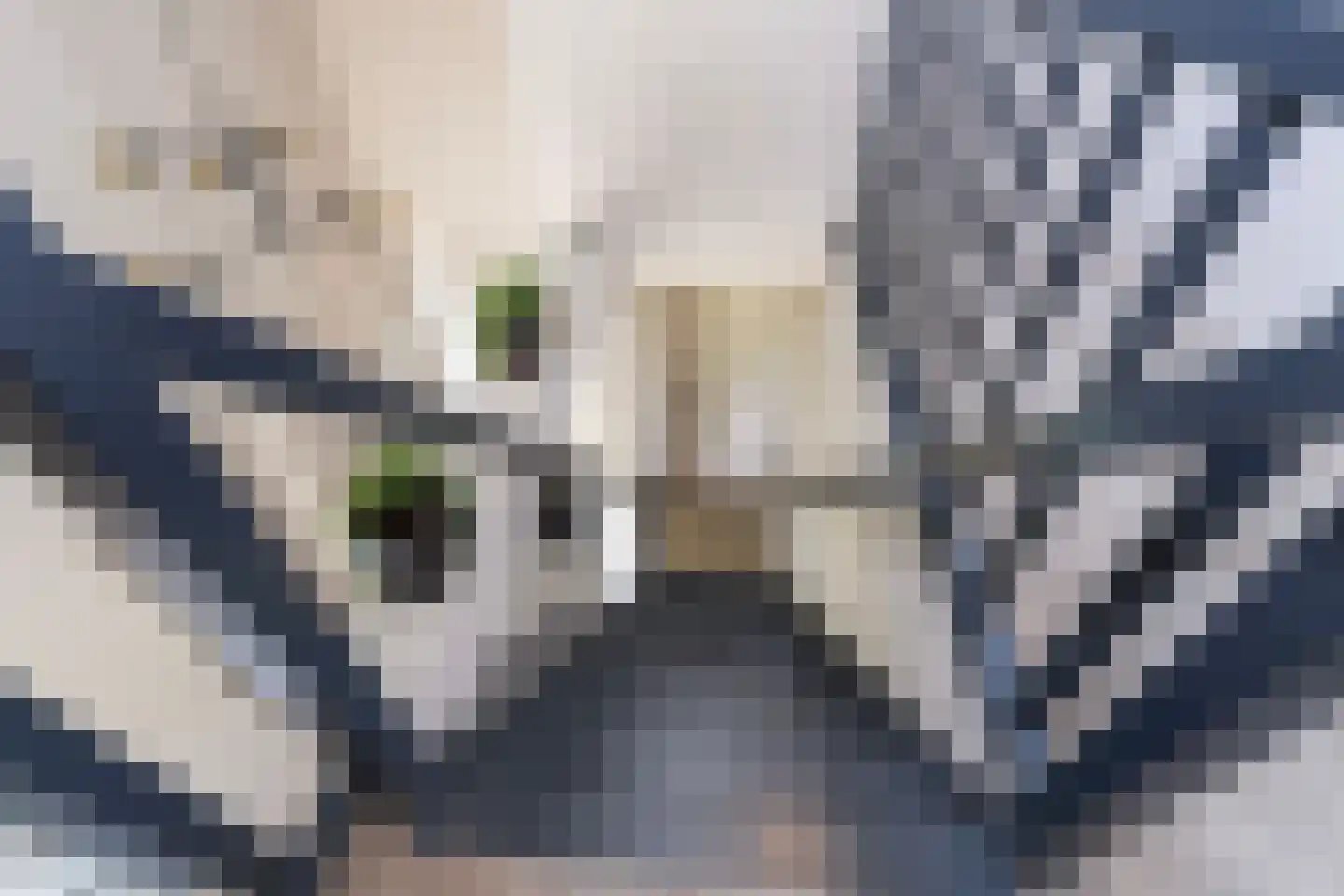 Margrietstraat 22 Waalwijk thumbnail 29
