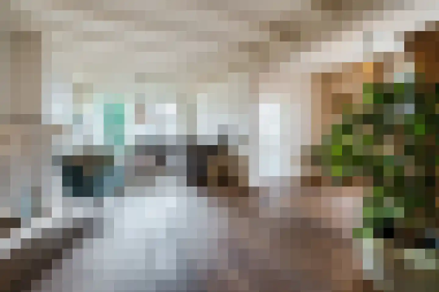Margrietstraat 23 Veldhoven thumbnail 10