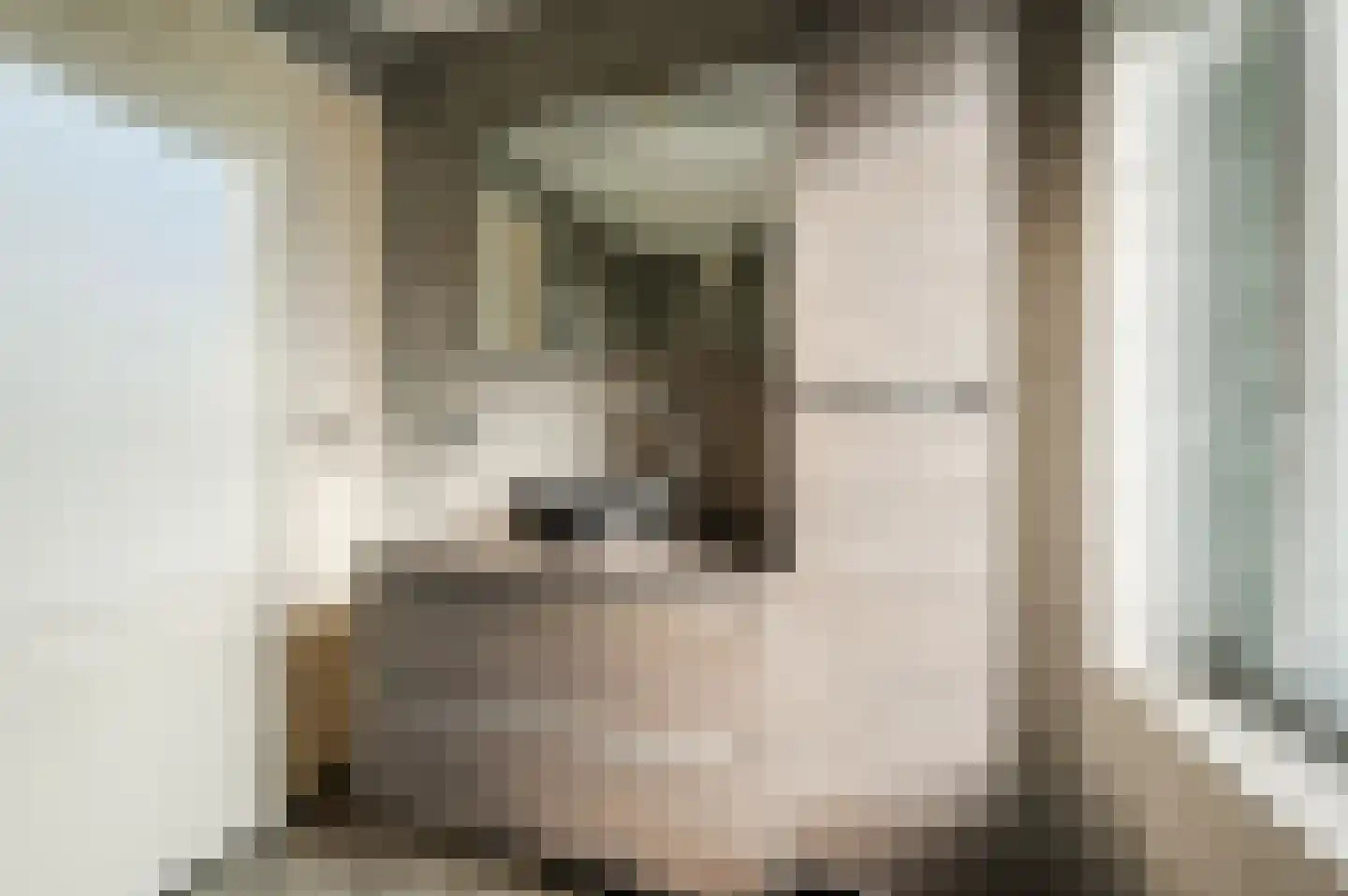 Margrietstraat 23 Veldhoven thumbnail 22